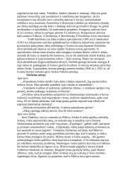 Albertas Einšteinas 6 puslapis