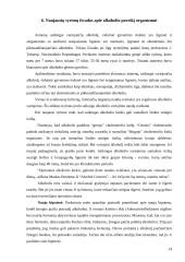 Alkoholio vartojimo kultūra 13 puslapis