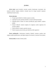 Alkoholio vartojimo kultūra 2 puslapis