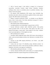 Alkoholis ir visuomenė 13 puslapis