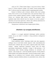 Alkoholis ir visuomenė 4 puslapis