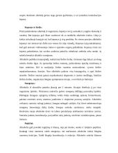 Alkoholis ir visuomenė 9 puslapis