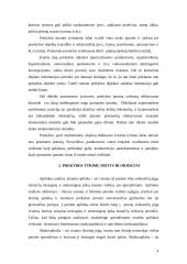 Alternatyvių tyrimų organizavimas 3 puslapis