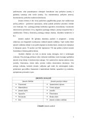 Alternatyvių tyrimų organizavimas 6 puslapis
