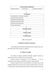 Alternatyvių tyrimų organizavimas 10 puslapis
