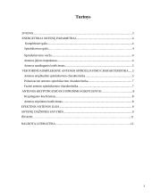 Antenos. Antenų charakteristikų skaičiavimas 2 puslapis