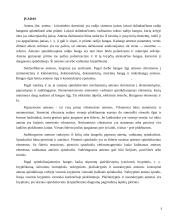 Antenos. Antenų charakteristikų skaičiavimas 3 puslapis