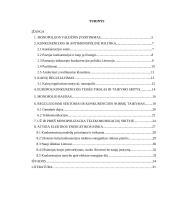 Antimonopolinė politika