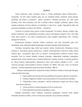 Antimonopolinė politika 2 puslapis