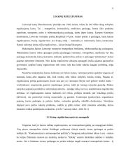 Antimonopolinė politika 11 puslapis