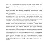 Antimonopolinė politika 12 puslapis