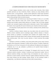 Antimonopolinė politika 13 puslapis