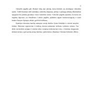 Antimonopolinė politika 14 puslapis