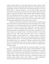 Antimonopolinė politika 16 puslapis