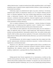 Antimonopolinė politika 19 puslapis