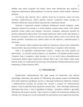 Antimonopolinė politika 20 puslapis