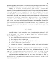 Antimonopolinė politika 9 puslapis