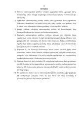 Antimonopolinė politika Lietuvoje 13 puslapis