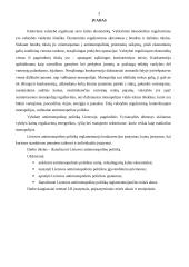 Antimonopolinė politika Lietuvoje 3 puslapis