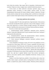 Antimonopolinė politika Lietuvoje 6 puslapis