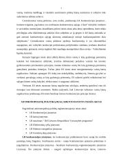 Antimonopolinė politika Lietuvoje 7 puslapis