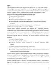 Aplinkos apsaugos ekonominės problemos ir jų sprendimo būdai 2 puslapis