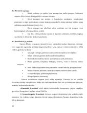 Aplinkos apsaugos problemos ir jų sprendimo būdai Lietuvoje 12 puslapis