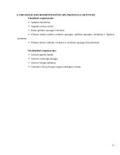 Aplinkos apsaugos problemos ir jų sprendimo būdai Lietuvoje 17 puslapis