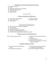 Aplinkos apsaugos problemos ir jų sprendimo būdai Lietuvoje 19 puslapis