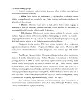 Aplinkos apsaugos problemos ir jų sprendimo būdai Lietuvoje 8 puslapis