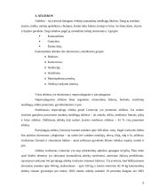 Aplinkos apsaugos problemos ir jų sprendimo būdai Lietuvoje 9 puslapis