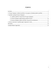 Aplinkos apsaugos vieta bendroje Europos Sąjungos (ES) politikoje 2 puslapis