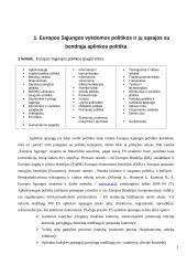 Aplinkos apsaugos vieta bendroje Europos Sąjungos (ES) politikoje 4 puslapis