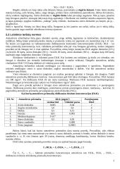 Aplinkos oro tarša 3 puslapis