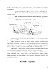 Aplinkos technologija. Užterštumo kontrolė 13 puslapis