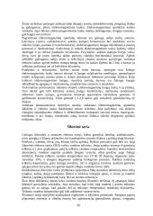 Aplinkos teršimas. Atmosferos taršos sukeliamos globalinės problemos 20 puslapis