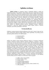 Aplinkos teršimas. Atmosferos taršos sukeliamos globalinės problemos 3 puslapis