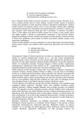 Aplinkos teršimas. Atmosferos taršos sukeliamos globalinės problemos 4 puslapis