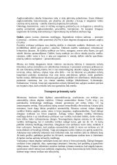 Aplinkos teršimas. Atmosferos taršos sukeliamos globalinės problemos 9 puslapis