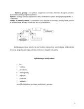 Aplinkosaugos Lietuvoje struktūra ir funkcijos 4 puslapis