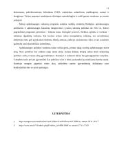 Aplinkosaugos politikos raida 11 puslapis