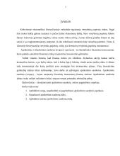 Apsikeitimo sandoriai. Sandorių rinka 3 puslapis