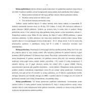 Apsikeitimo sandoriai. Sandorių rinka 8 puslapis