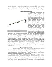 Apšvietimo ir šviesos signalizacijos sistema 2 puslapis