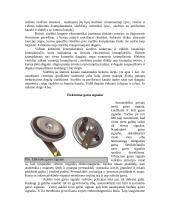 Apšvietimo ir šviesos signalizacijos sistema 3 puslapis