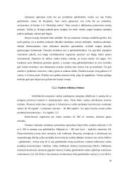 Ar geležinkelio transportas didžiausias aplinkos teršėjas 8 puslapis