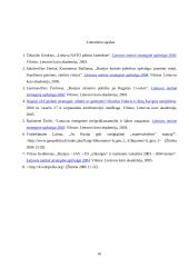 Ar Lietuvai naudinga Jungtinių Amerikos Valstijų (JAV) ir Rusijos konfrontacija posovietinėje erdvėje 7 puslapis