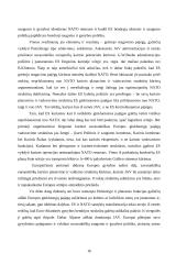 Atlantizmas bei europizmas vieningos Europos politikoje 16 puslapis