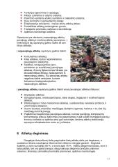 Atliekos ir ekologija 11 puslapis