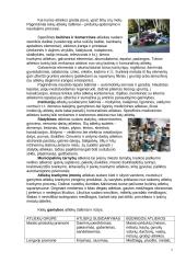 Atliekos ir ekologija 7 puslapis